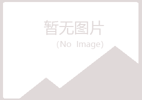 银川西夏千城能源有限公司